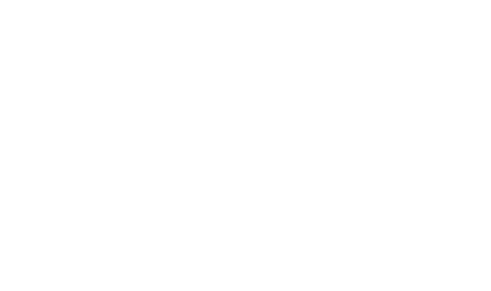 Bella Palma