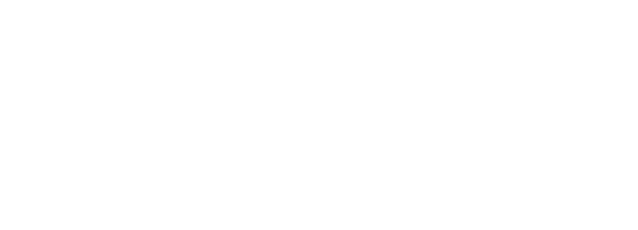 SalzburgAirport Logo weiß