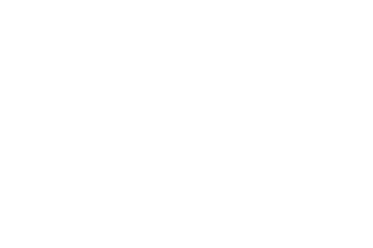 Weiss_logo 2017_white